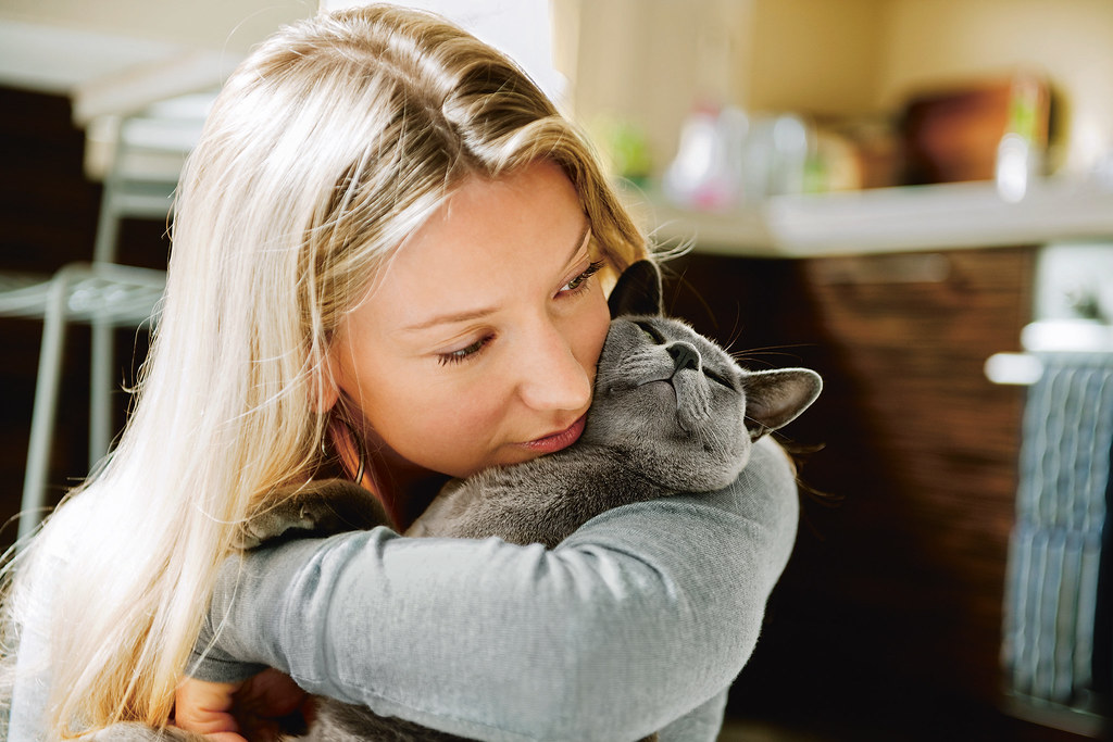 Person hugging a grey cat